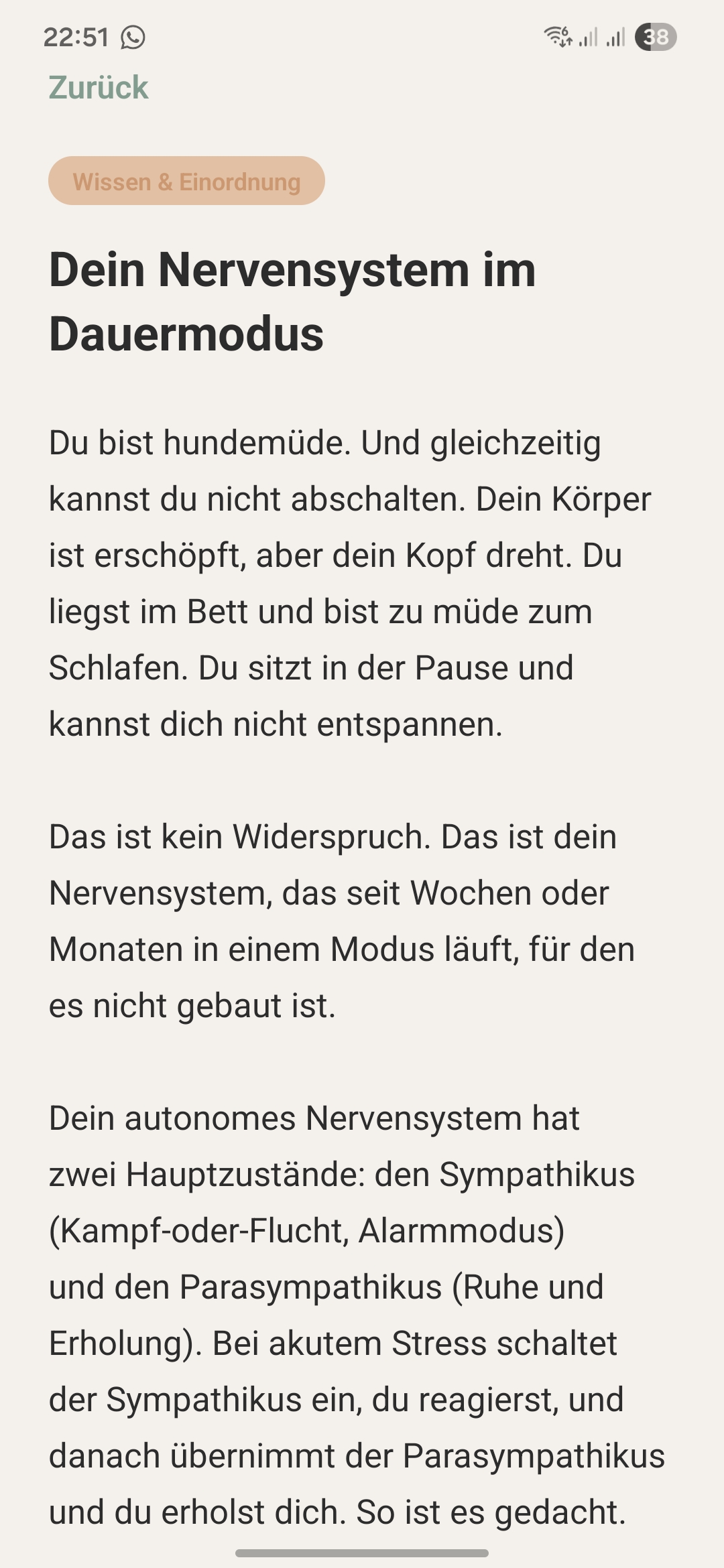 Wissen und Einordnung: Artikel über dein Nervensystem im Dauermodus